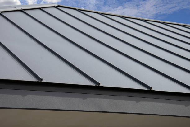 Best Roof Moss and Algae Removal  in Park City, MT